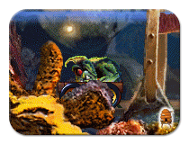 The Effects of Being Unconscious on a Moving Albian Vehicle