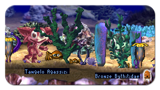 Hiding Among the Undersea Corals and Grasses