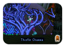 Hiding Out Among the Creatures Coral