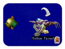 Swimming About with a Puffer Fish