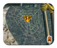 The Giant Spider from Albia