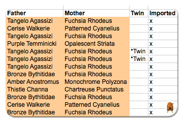 Recording and Remembering a Creatures Docking Station World
