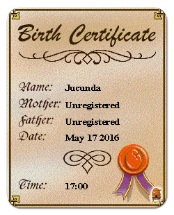 Unregistered Parents via the C1 Genetics Kit