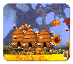 Why the C1 Beehives Work with the Honey